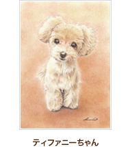 ティファニーちゃん