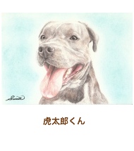 おまかせ肖像画：虎太郎くん