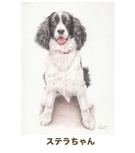 ステラちゃん