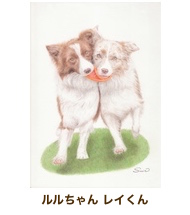 ルルちゃん＆レイくん