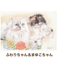 ふわりちゃん＆まゆこちゃん