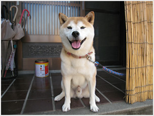 お受けできる写真 1