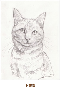 下書き（猫）
