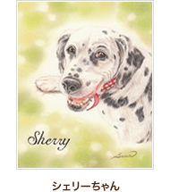 シェリーちゃん