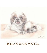 あおいちゃん＆とろくん