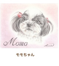 モモちゃん