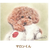 マロンくん