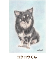 コタロウくん