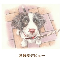 お散歩デビュー