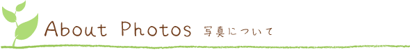 写真について