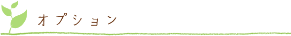 オプション