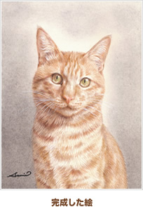 完成した絵（猫）