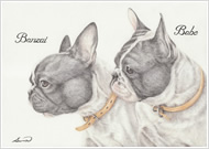 バンザイ＆ベイブ