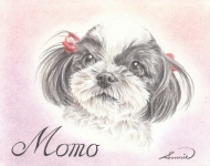 バンザイ＆ベイブ