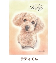 テディくん