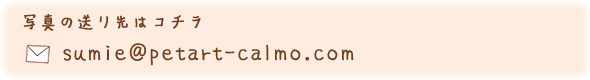 写真の送り先メールアドレス