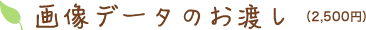 画像データのお渡し（2,500円）