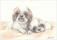 バンザイ＆ベイブ